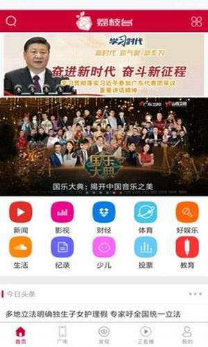 荔枝台图1