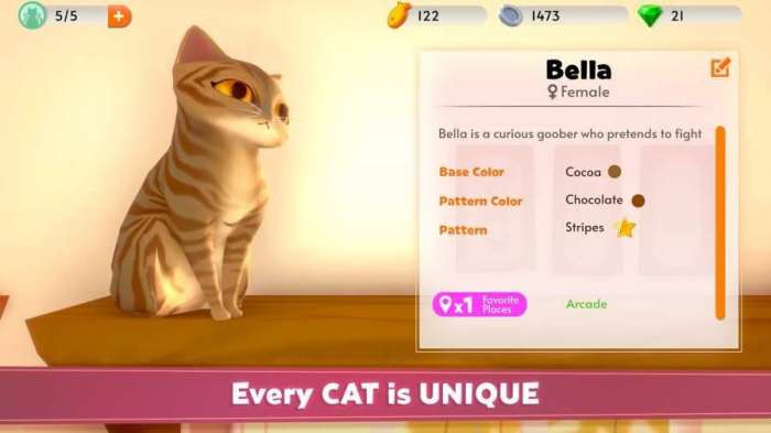我的猫咪俱乐部新版图5