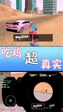 满级吃鸡图3