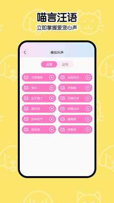 一起学猫叫图2