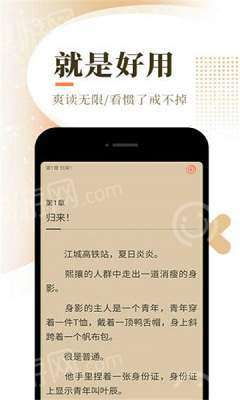 七七猫小说图1