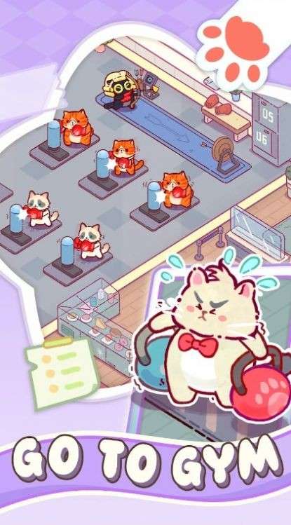 猫咪健身房手游图3
