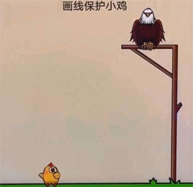 画线保护小鸡图3