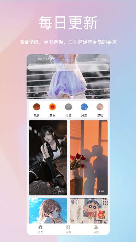 鹦鹉螺壁纸图1