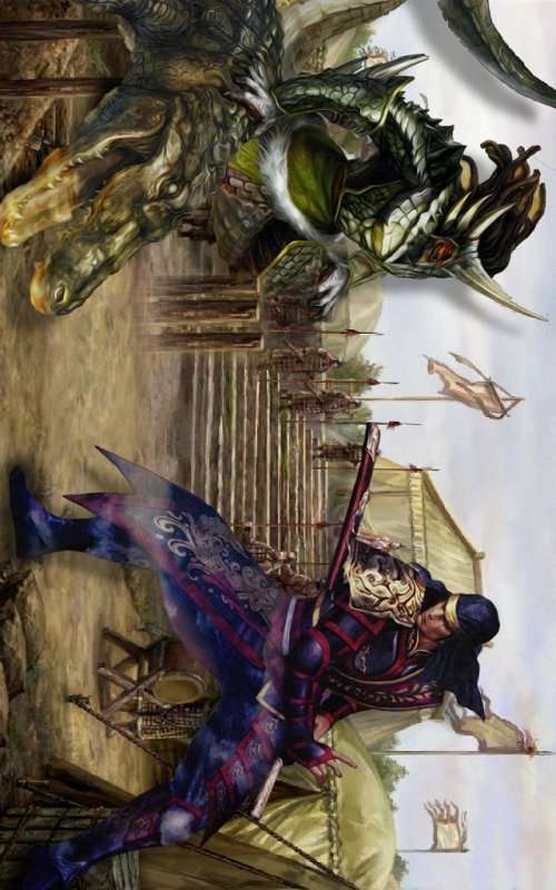武士战士：王国英雄图1