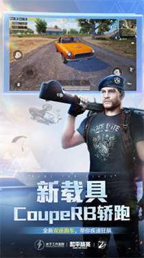 和平精英国际服手机版图3