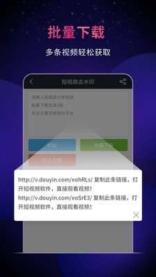 飞狐去水印工具图3