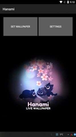 Hanami图2