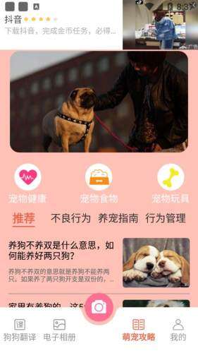萌宠翻译官图3