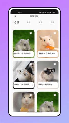 鼠语音翻译器图3