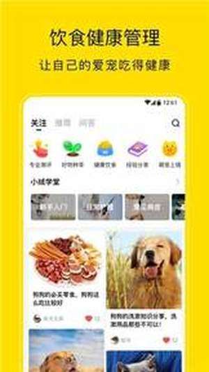 小绒宠物图4