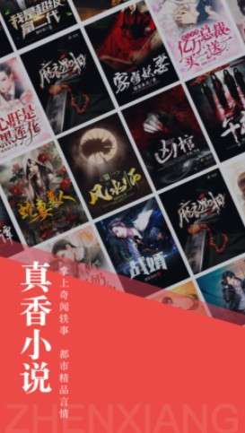 真香小说图1