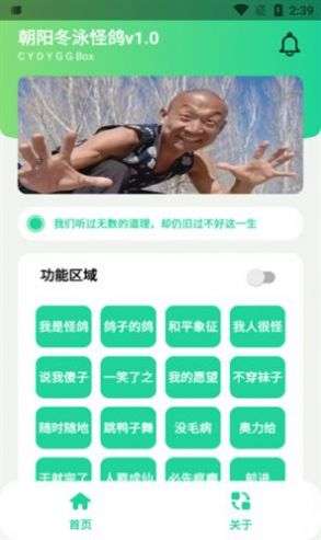 冬泳怪鸽盒图3