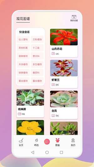 幸福养花场图1