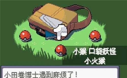 口袋妖怪漆黑的魅影女神版图4
