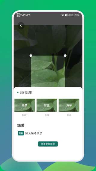 小园丁最新图2