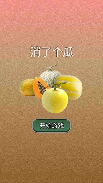 消了个瓜图2