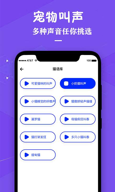 猫咪翻译器图4