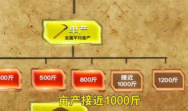 种花文明图2