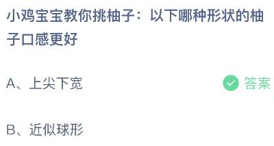 小鸡宝宝教你挑柚子：以下哪种形状的柚子口感更好？