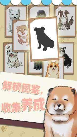 狗狗派对图1