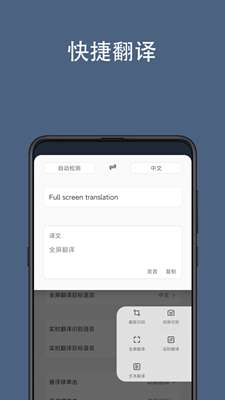 光氪全屏翻译图1
