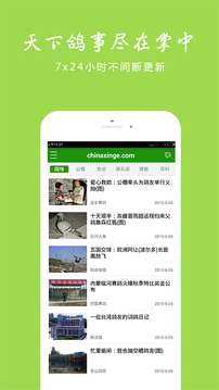 中国信鸽信息网图2