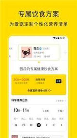 小绒宠物图3