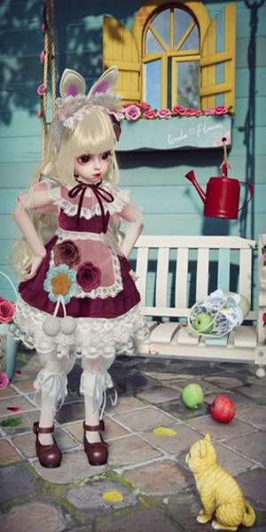 project doll 图2