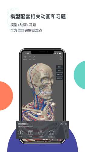 med图4
