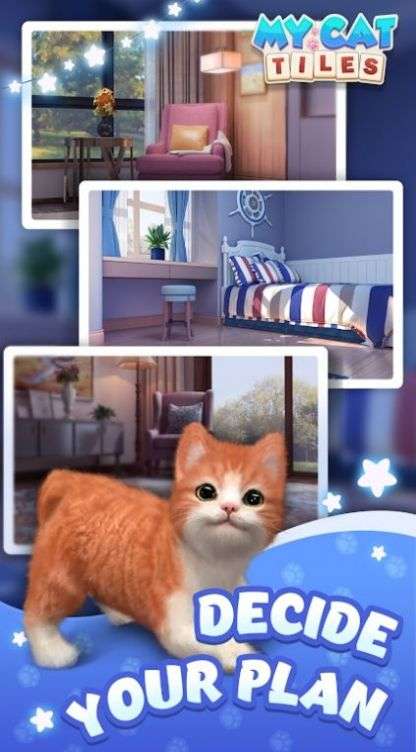 我的猫猫生活图2