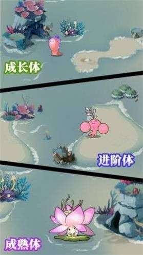 森林小女巫图5
