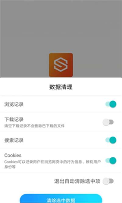 隐身浏览器历史消除图4