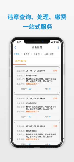 四川公安交警公共服务平台图3