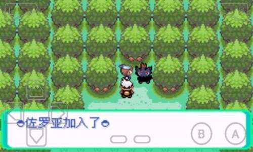 口袋妖怪漆黑的魅影老版本图3
