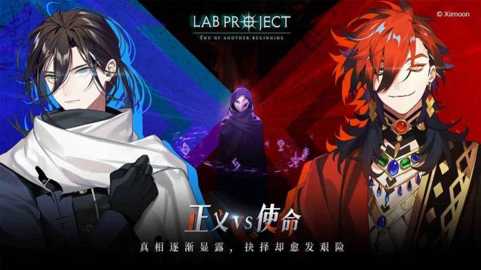 代号LaB图4