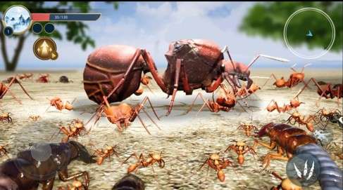 蚂蚁生存日记安卓版图1