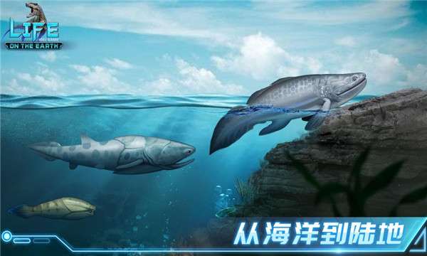 生命简史图3