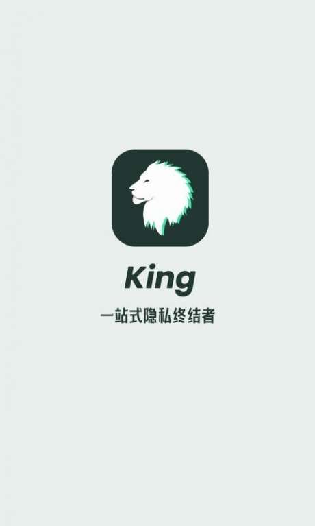 king隐私空间大师免费图2