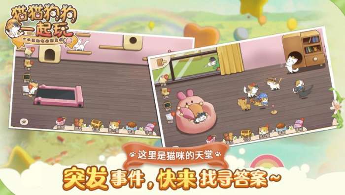 猫猫狗狗一起玩图1