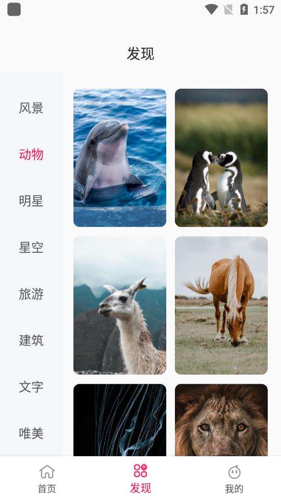 点心壁纸图3