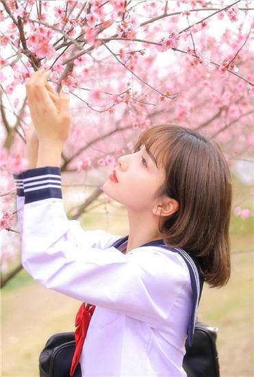 草莓香蕉菠萝蜜秋葵丝瓜污图1