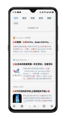 Rains浏览器图2
