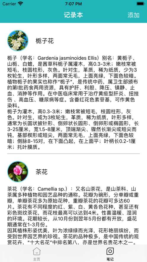 异木奇花图3