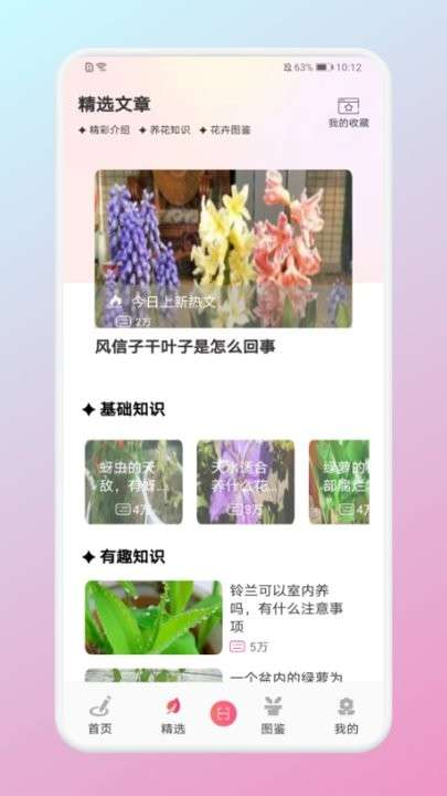 养花大掌柜图3
