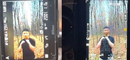 网络用语对焦测试员是什么梗 网络用语对焦测试员是什么梗