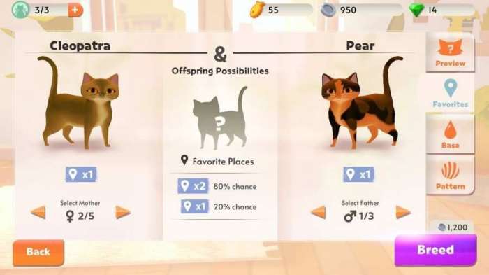 我的猫咪俱乐部新版图3