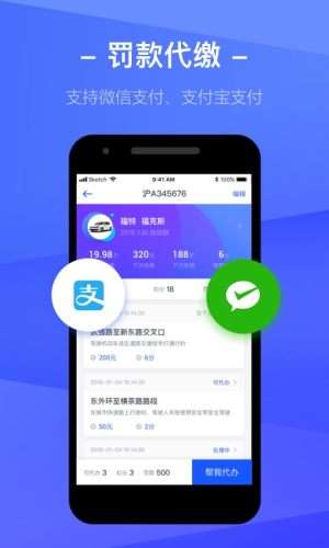 查违章图4