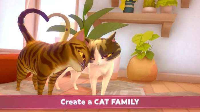 我的猫咪俱乐部新版图1