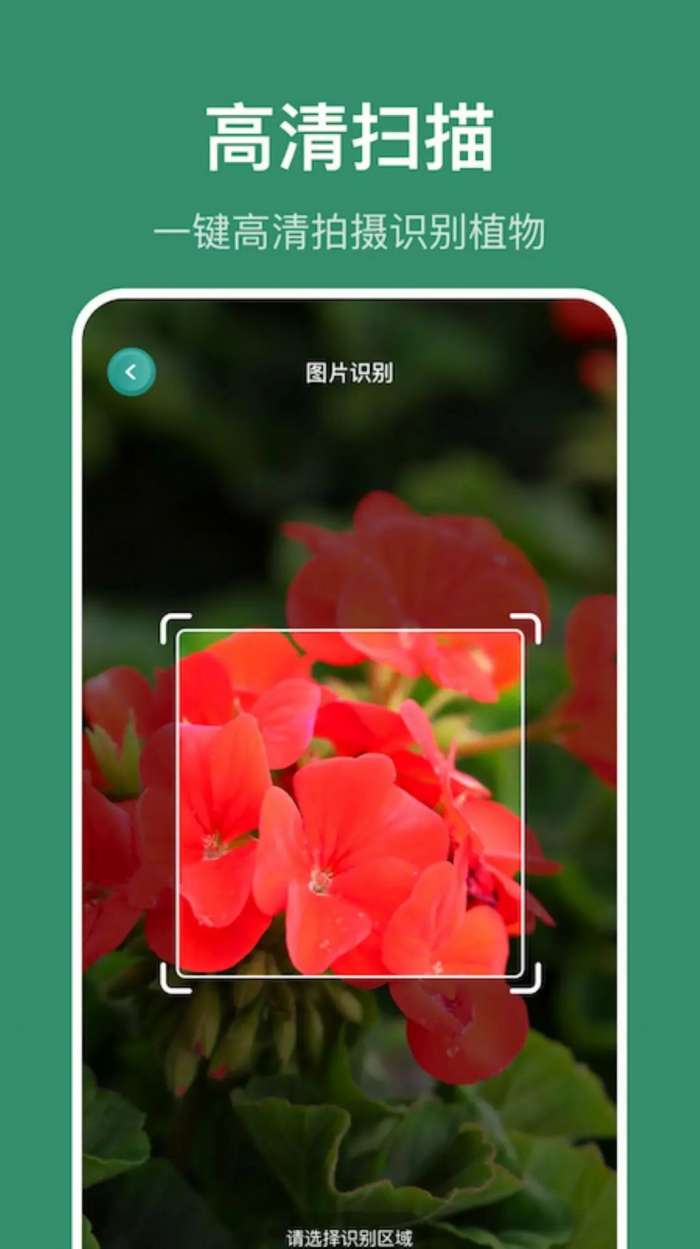 小黄养花图2